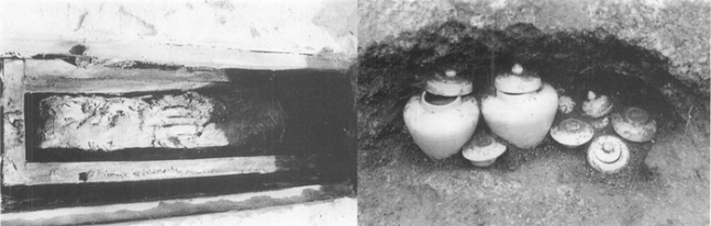 1989년 삼봉 정도전의 묘로 알려진 서울 서초동 우면산자락에서 확인된 무덤에서 상급의 조선백자와 함께 몸통없이 머리만 남은 유골이 확인됐다. 참수된 정도전의 머리일 가능성이 있다.|한양대박물관 제공