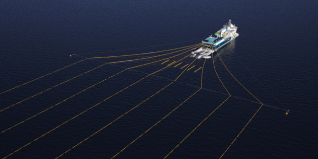 An illustration of Tamhae 3rd exploring the seabed. The short rods placed close to the bow are air guns that emit loud sounds, seismic waves, towards the seabed. The long ropes are 'streamers' that detect seismic waves that hit the seabed and return, allowing them to determine what minerals are located under the sea. Provided by the Korea Institute of Geoscience and Mineral Resources