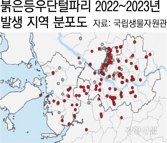국립생물자원관이 조사한 붉은등우단털파리 분포 지도. 붉은 점이 2023년 출현했던 지역, 회색은 2022년 이전부터 출현했던 지역이다. 국립생물자원관 제공