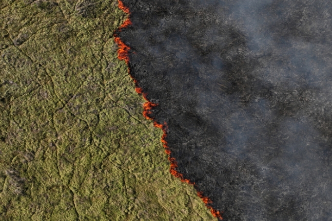지난 10일 브라질에 소재한 세계 최대 습지 판타나우에서 화재가 발생해 땅이 불타고 있다. 로이터연합뉴스