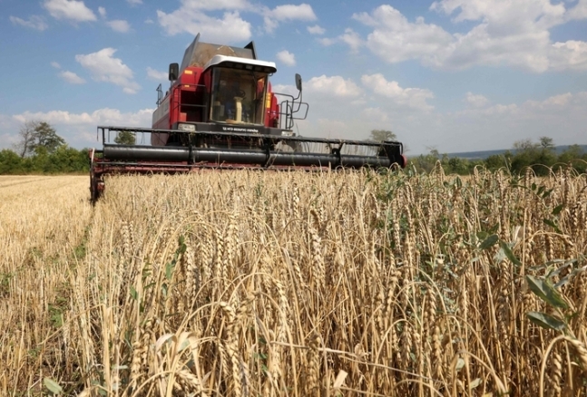 지난해 8월4일(현지시간) 우크라이나 동부 도네츠크주 크라마토르스크 지역에서 밀 수확 작업이 진행되고 있다. AFP연합뉴스