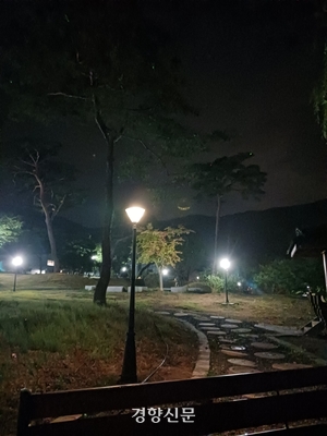 한국문화연수원 곳곳에 가로등이 켜져 있다. 은은한 불빛은 산책하기 좋은 분위기를 조성해주었다. 박채움 기자