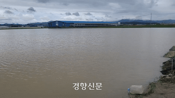 10일 새벽부터 많은 비가 내린 충남 논산시 광석면의 논이 물에 잠겨 있다. 강정의 기자