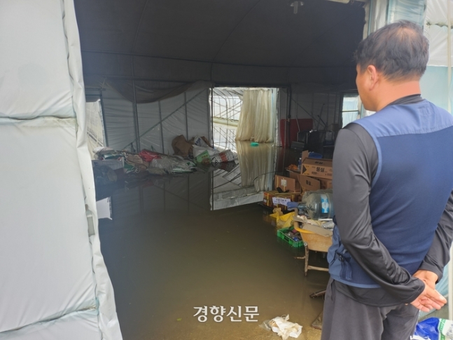 충남 논산시 성동면 원봉리에서 농사를 짓고 있는 김대수씨가 물에 잠긴 비닐하우스를 바라보고 있다. 강정의 기자