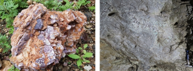 한국지질자원연구원이 4년 간 야외 지질조사를 벌인 결과 경북 울진(왼쪽 사진)과 충북 단양에서 확인된 리튬이 포함된 돌덩어리들. 한국지질자원연구원 제공