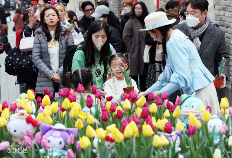 명동에 퍼진 봄 향기…깜짝 튤립 화분 선물에 활짝[포토뉴스]