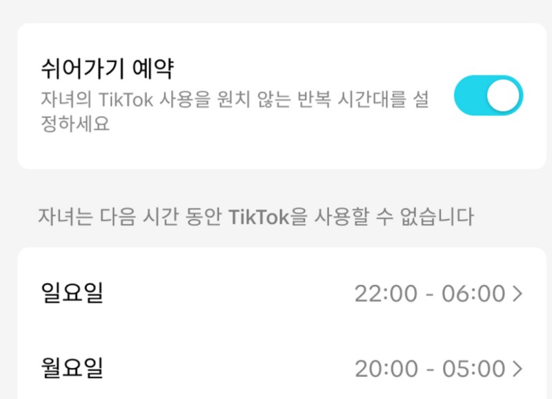 자녀 팔로잉 확인·시간 제한 가능…틱톡 사용 걱정하던 부모들 “휴~”