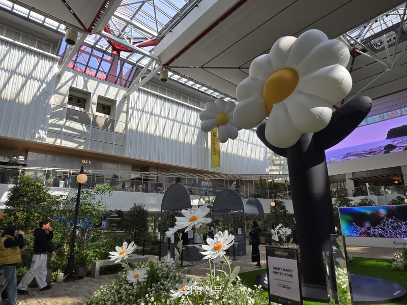 활짝 핀 ‘데이지꽃’에 지드래곤 팬들도 ‘활짝’···전시회·팝업, 앨범 홍보 주류가 되다