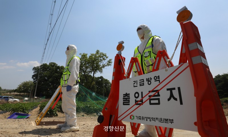 국내에서 2년 만에 <b>구제역 발생</b>…<b>전남</b> 영암 한우농가