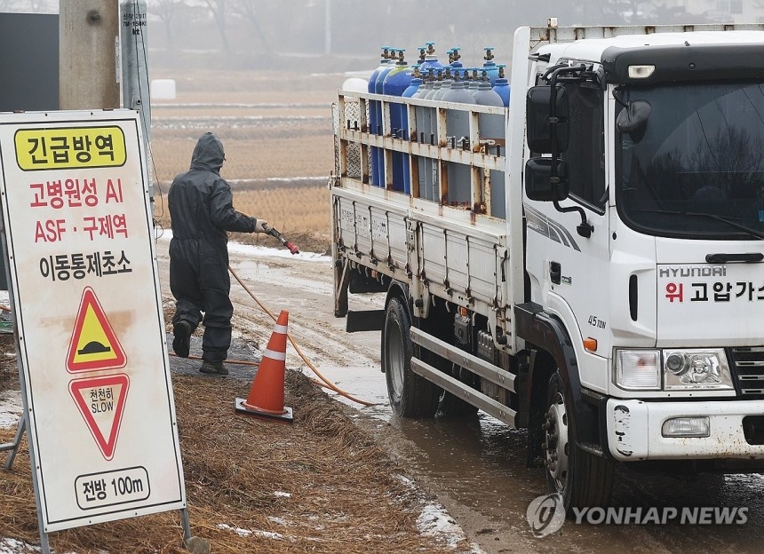 지난 1월6일 경기 여주시의 한 산란계 농장 주변에서 관계자가 출입하는 차량 방역을 하고 있다. 연합뉴스