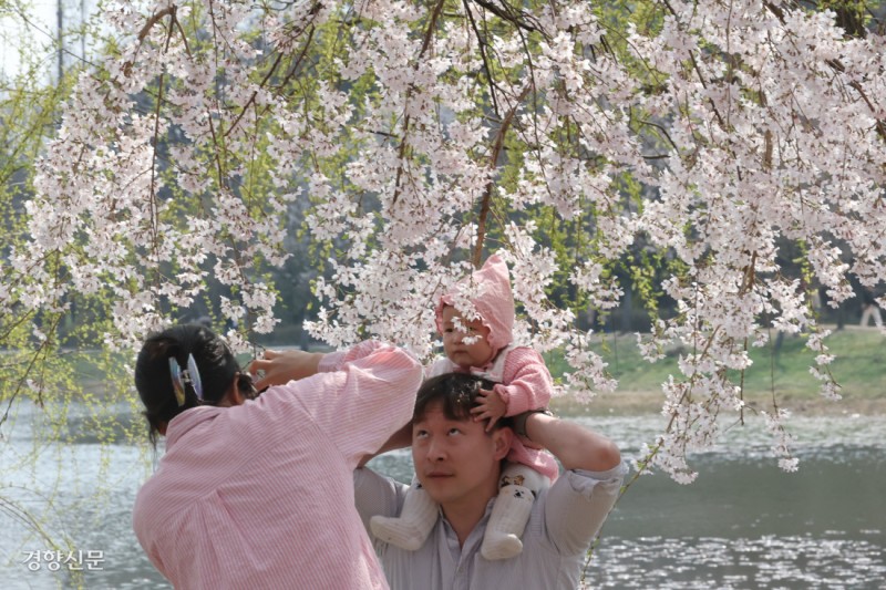 꽃보다 어여쁜 아가 영원히 담아두려고…[포토뉴스]