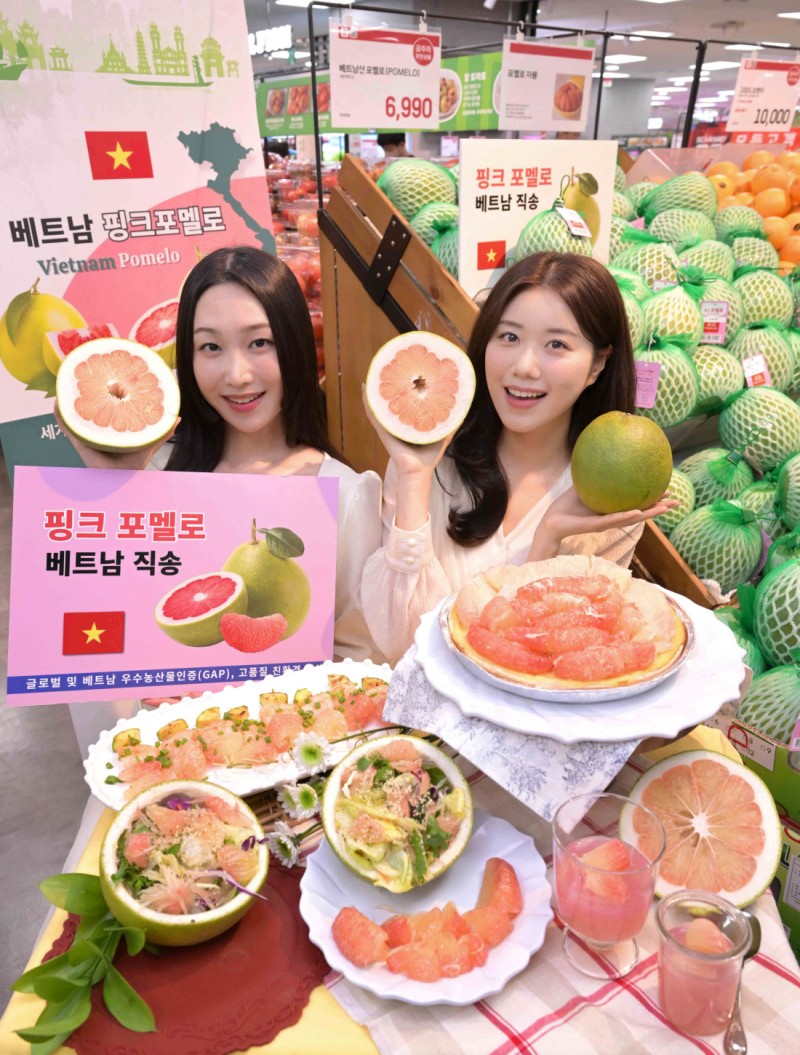 봄빛 담은 ‘핑크 포멜로’[포토뉴스]
