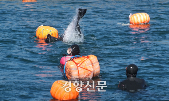 제주의 해녀.제주도 제공