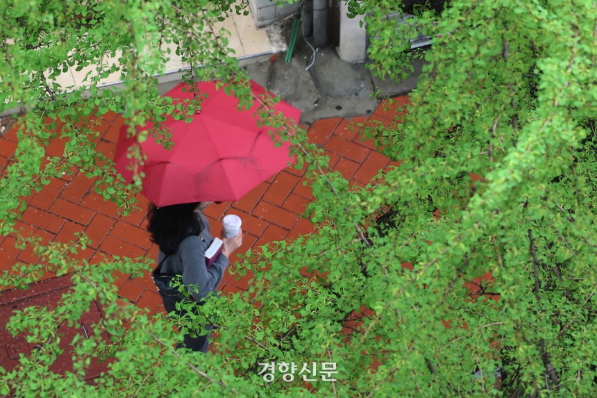서울 중구 정동길에서 한 시민이 우산을 쓰고 걸어가고 있다.정효진 기자