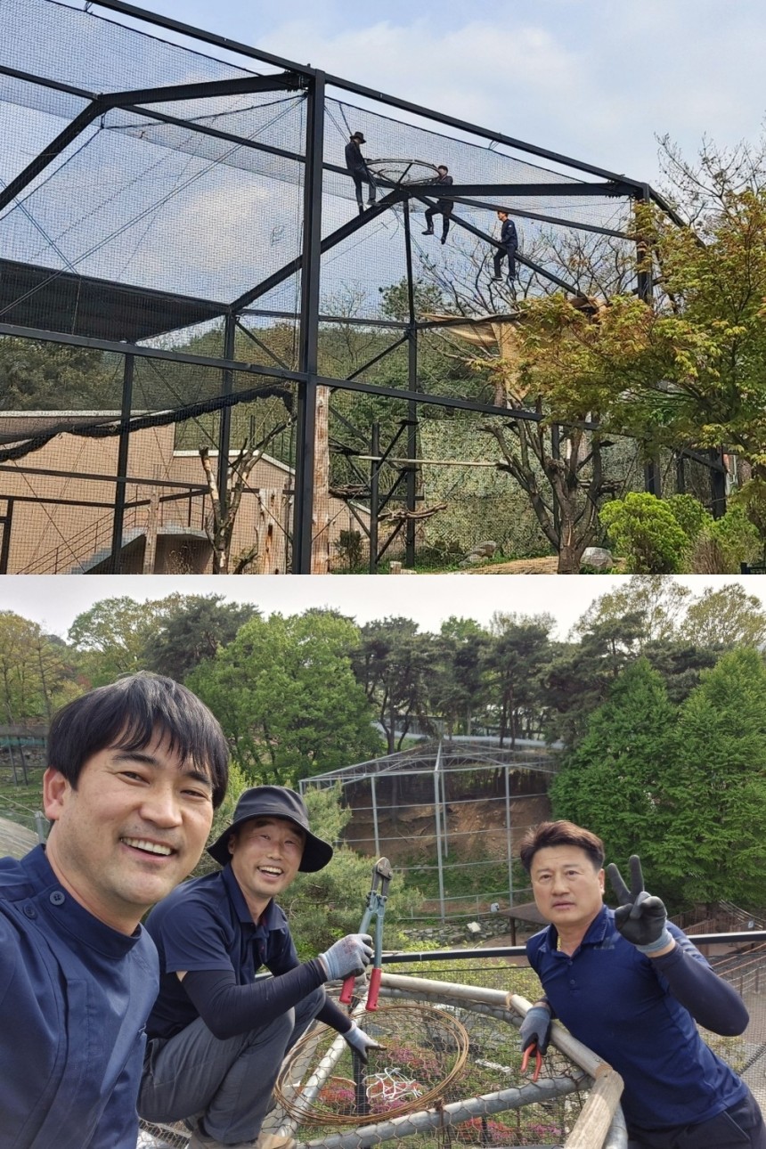 10m 높이의 황새장 꼭대기에 동물원에 날아든 황새 부부 둥지를 마련해주었다.김정호(청주동물원) 제공