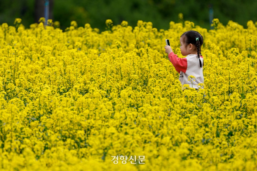 11일 경기 구리시 한강공원 일대에서 열린 유채꽃축제에서 시민들이 봄을 만끽하고 있다. 문재원 기자