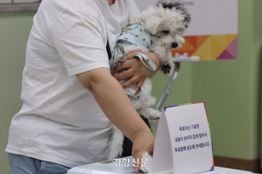 21대 대통령 선거일인 3일 서울 성동구 도선고등학교 왕십리도선동제6투표소를 찾은 시민이 강아지와 함께 투표하고 있다. 정효진 기자