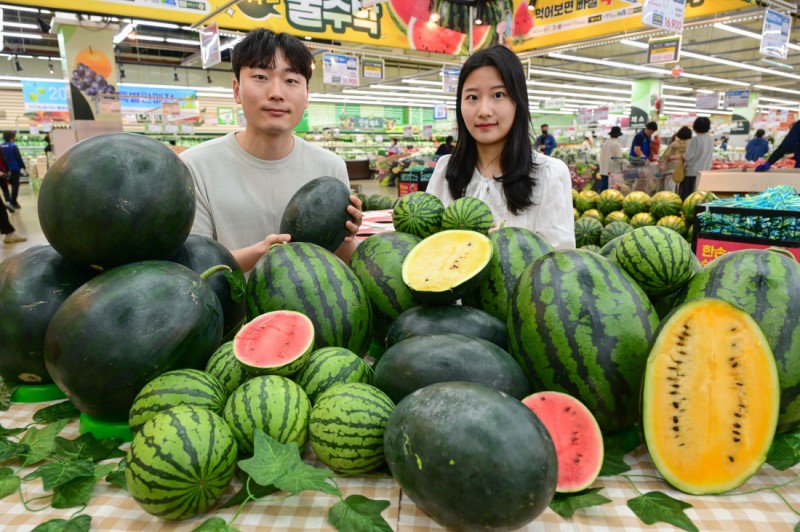 안 좋은 소식, 더위가 온다…좋은 소식, 제철 수박이 왔다[포토뉴스]