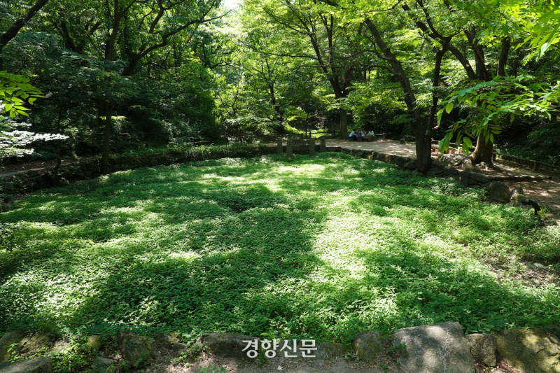 기후위기로 사라져가는 사계, 백사실계곡의 ‘아름다운 1년’ [포토다큐]