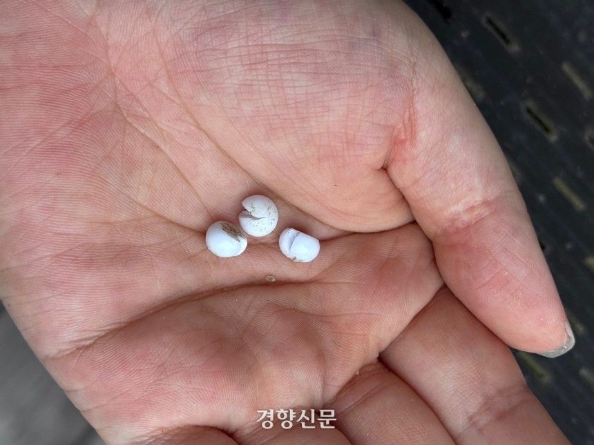 범행에 사용한 비비탄. 독자 제공