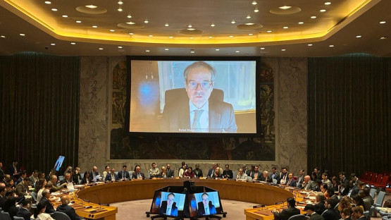 라파엘 그로시 국제원자력기구(IAEA) 사무총장, IAEA홈페이지