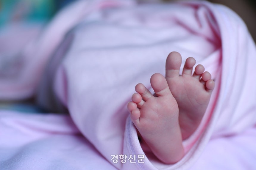 경향신문 자료사진