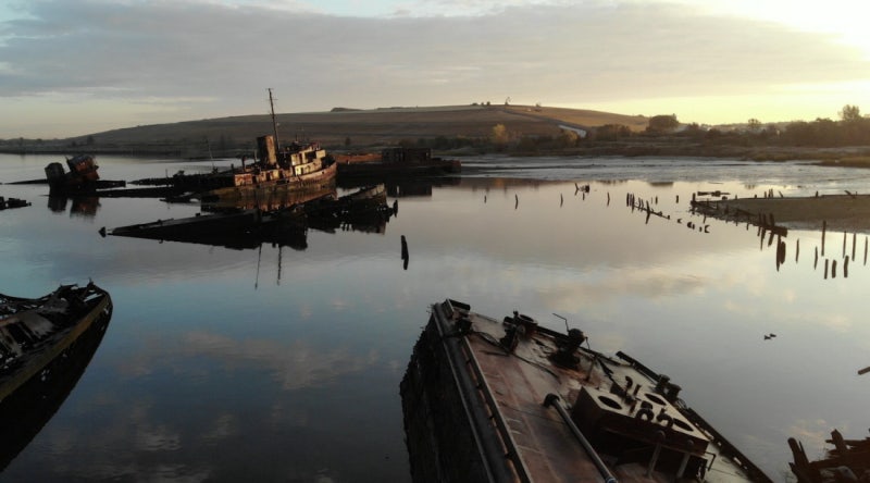 인간에게 버려지면 살아난다, 자연은[책과 삶]