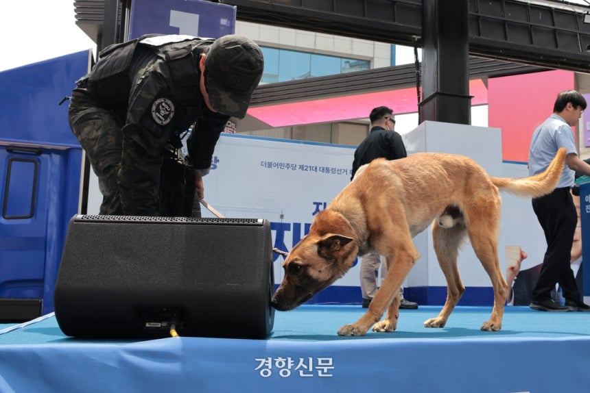 경찰특공대 폭발물 탐지견이 무대를 탐색하고 있다. 경향신문 자료사진.