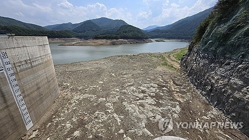가뭄에 열대야까지…이중고 겪는 강릉