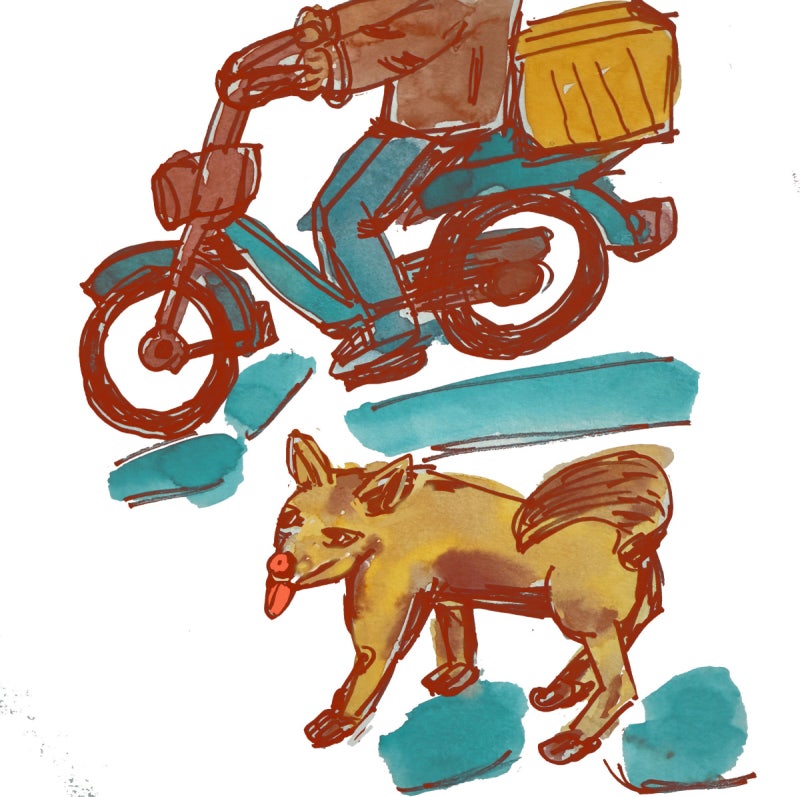 [임의진의 시골편지]발로바시