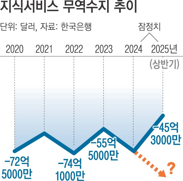 상반기 지식서비스 적자 ‘45.3억달러’…지난해 하반기보다 7.7억달러 늘었다