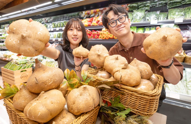이런 감자 처음이야…현대백화점, 멕시코 감자 ‘하카마’ 선보여[포토뉴스]