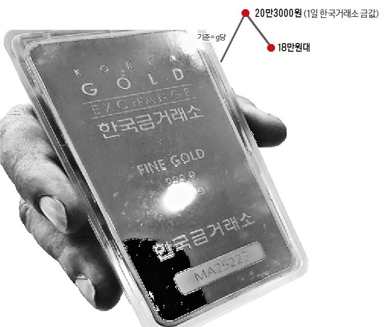 천장 뚫자마자 11% 추락…요동치는 金치 프리미엄