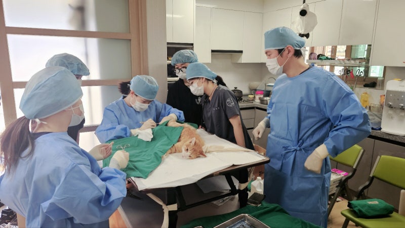 청주 시골 마을에 ‘동물왕진버스’가 달린다