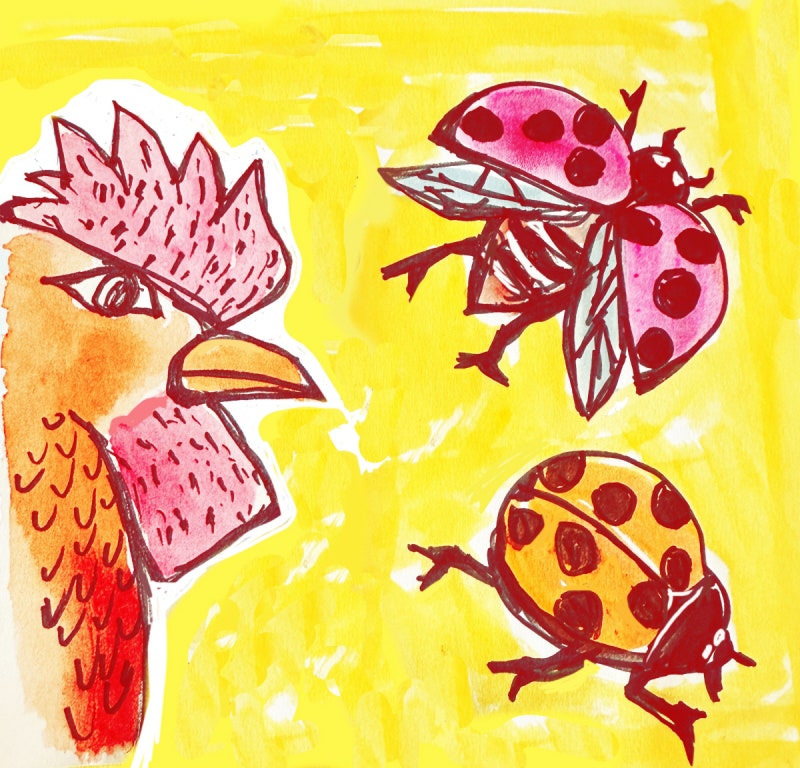 [임의진의 시골편지]시엄씨