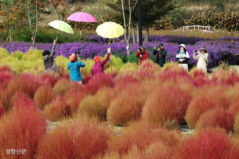반짝 추위에도…가을 낭만 즐기는 시민들[포토뉴스]