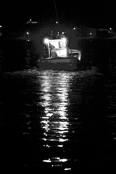 [김해자의 작은 이야기]바다는 누가 올려다보나