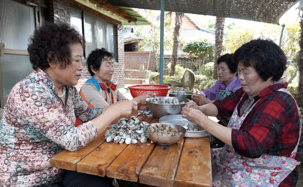 2025년 11월 06일[TV 하이라이트]