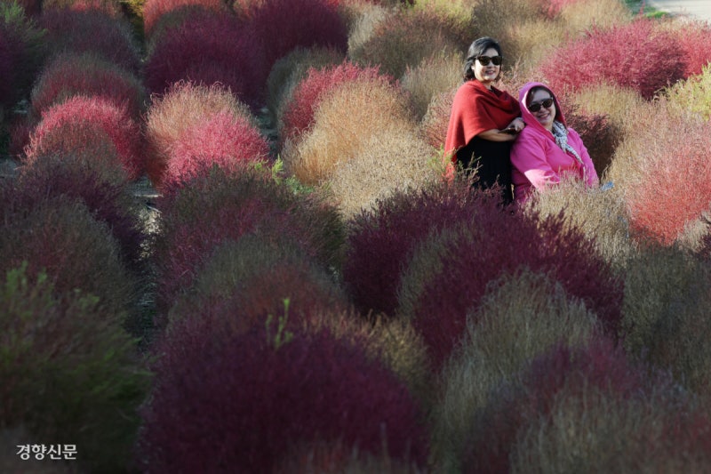 저무는 가을 정취 즐기는 시민들[포토뉴스]
