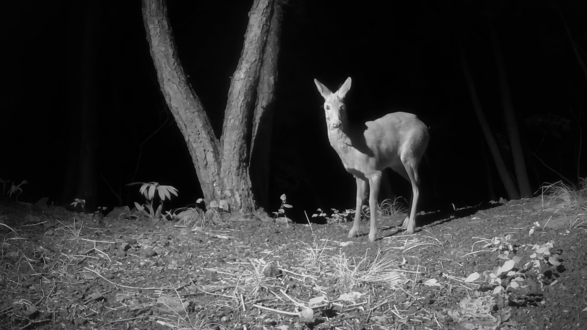 2025년 12월 04일[TV 하이라이트]