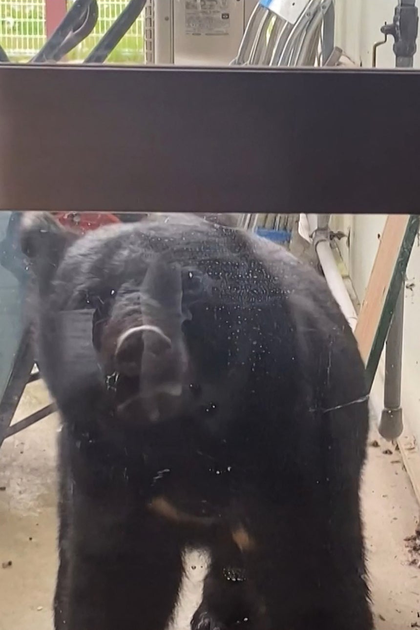 럭스 토토 에 대한 기초 지식: 초보자가 알아야 할 모든 것