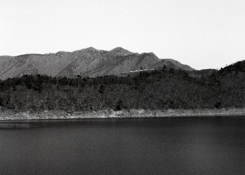 [시간의 전설]미술은 그녀에게 무엇이었나