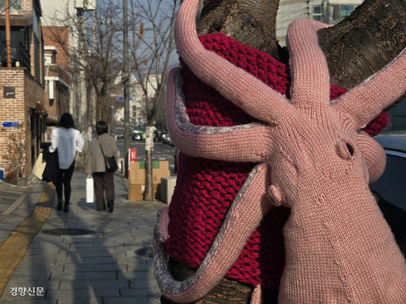 서울 서촌 울긋불긋 ‘나무들의 패션쇼’[포토뉴스]