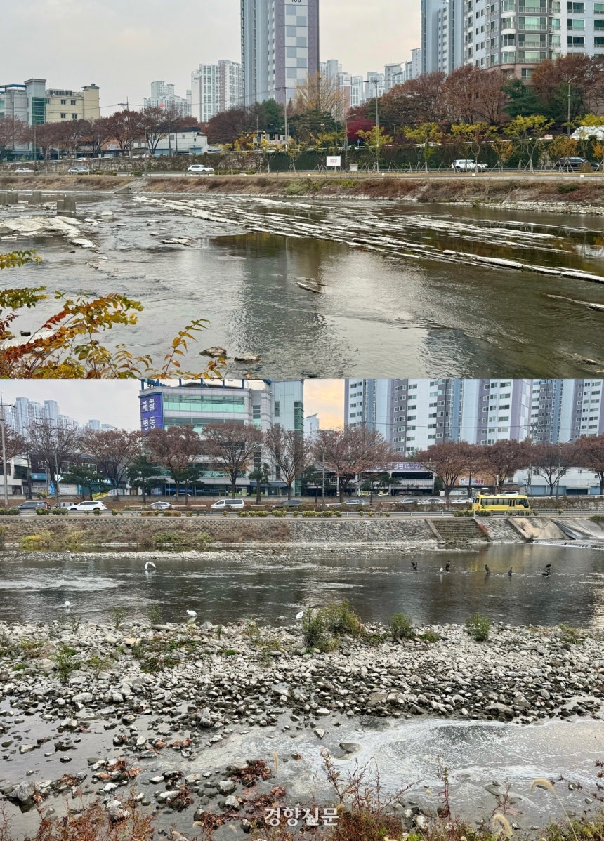 지난달 27일 대구 신천 곳곳의 바닥이 드러나거나 가장자리에서 부유물질이 발견되고 있다. 백경열 기자