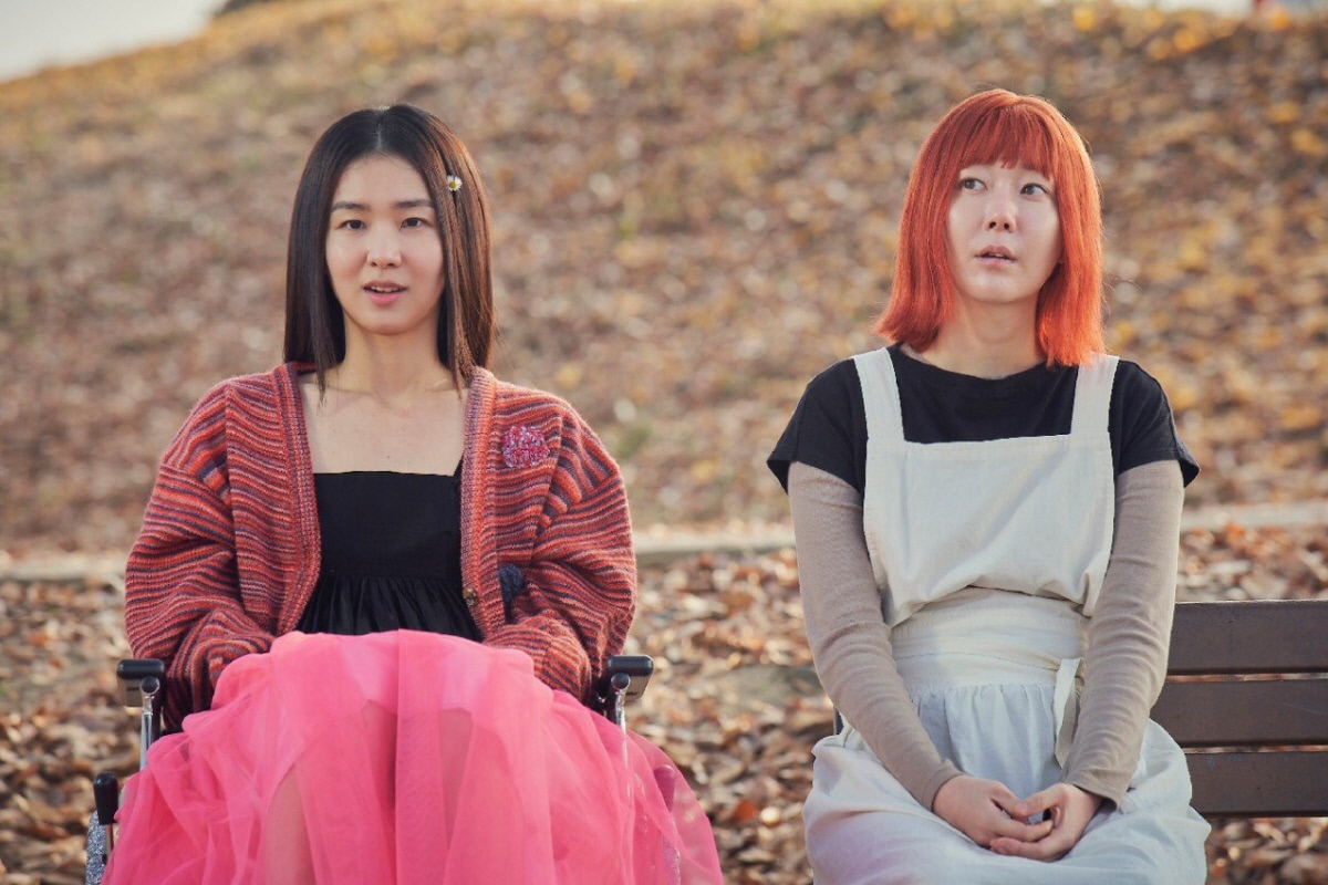 2025년 12월 10일[케이블·위성 하이라이트]