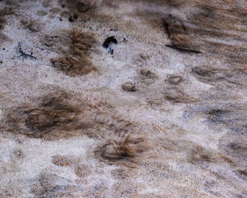 [루페로 보는 시선]모든 것을 살리는 힘, 물