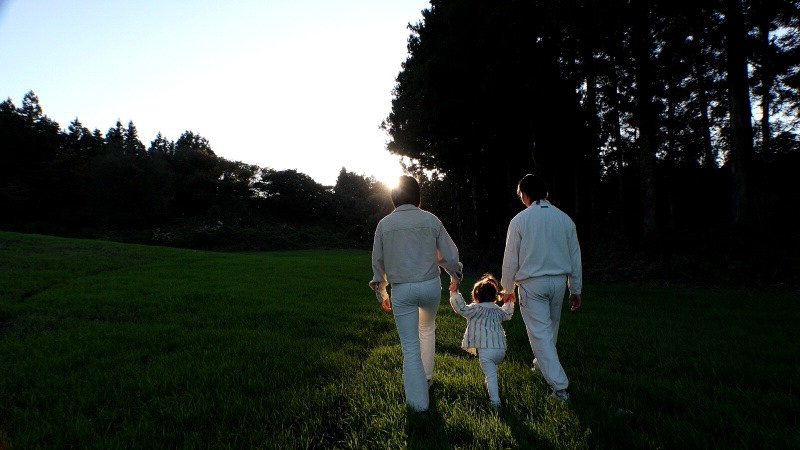 2025년 12월 22일[TV 하이라이트]