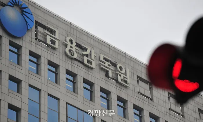 금융감독원 전경.경향신문 자료사진