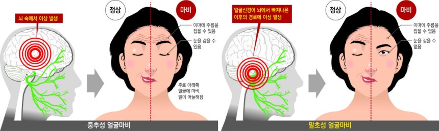 그래픽 | 성덕환 기자 