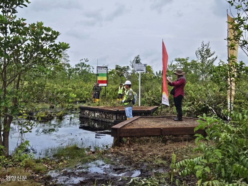 ‘물 건너 불구경’ 할 수 없는 시대…한국, 잿더미 된 인니 우림 되살렸다